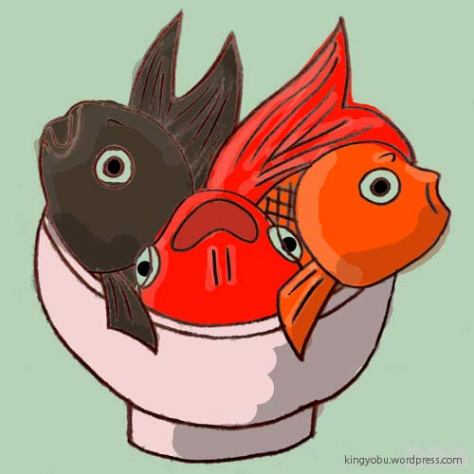 どんぶり金魚 と呼ばれる昭和の飼育法に関して 金魚部